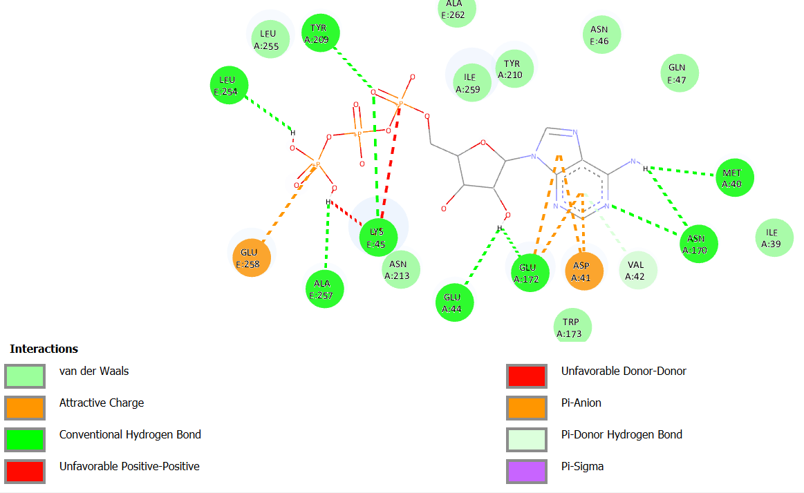 2D Interactions ATP on 7KOX