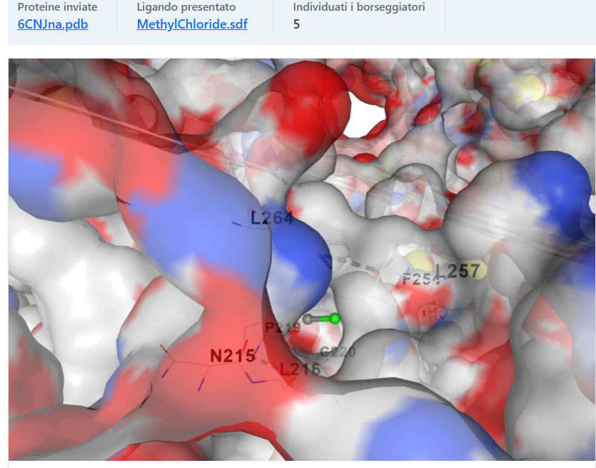Sodium Pore Discharge