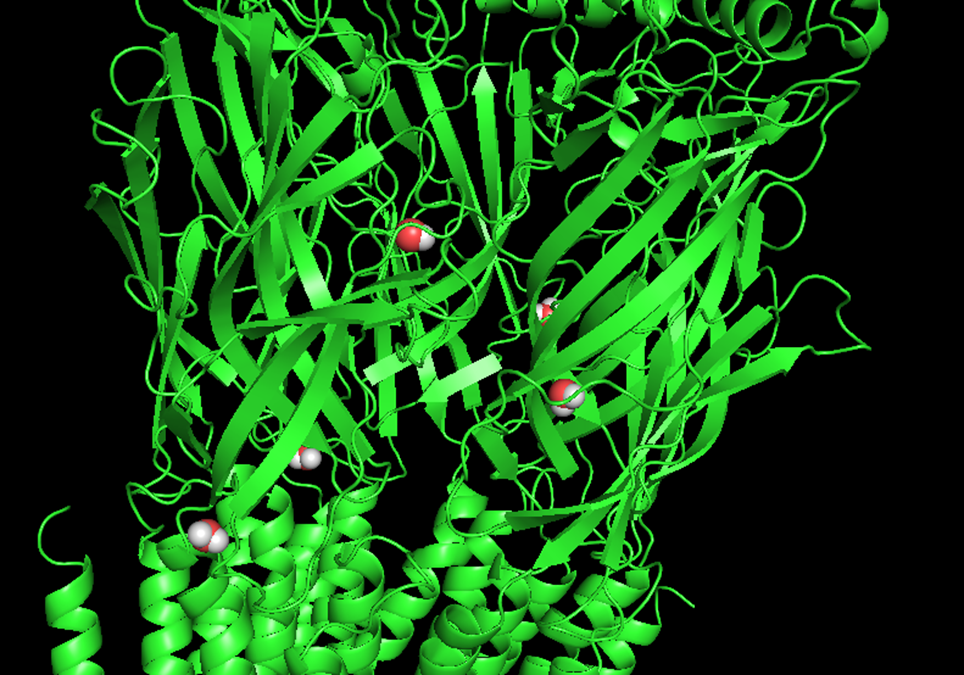 Figure 8.1: Water docking results showing high-affinity sequestration in the de-solvation pits.