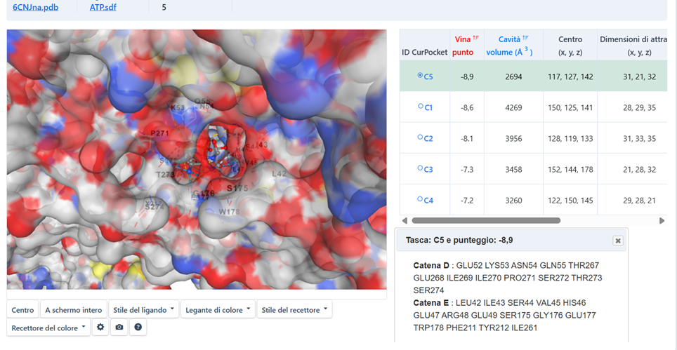 Figure 4.1: Electrostatic surface of nAChR with ATP (Vina Score -8.9).