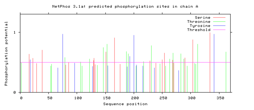 Figure 6.1: NetPhos 3.1 phosphorylation score distribution across nAChR subunits.