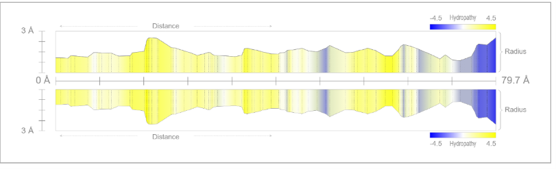 Tunnel 26 Profile